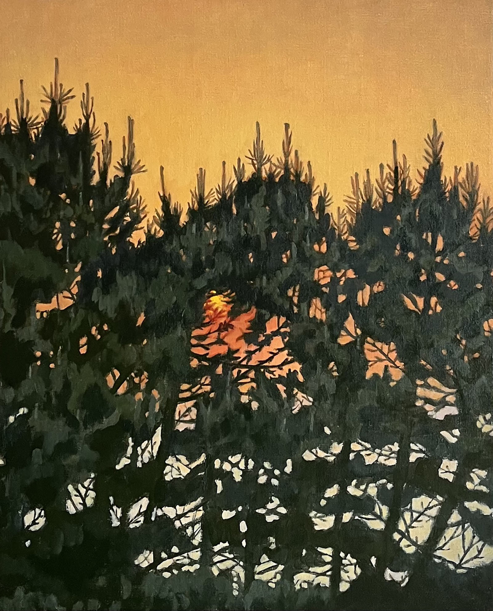 Seaside Pines