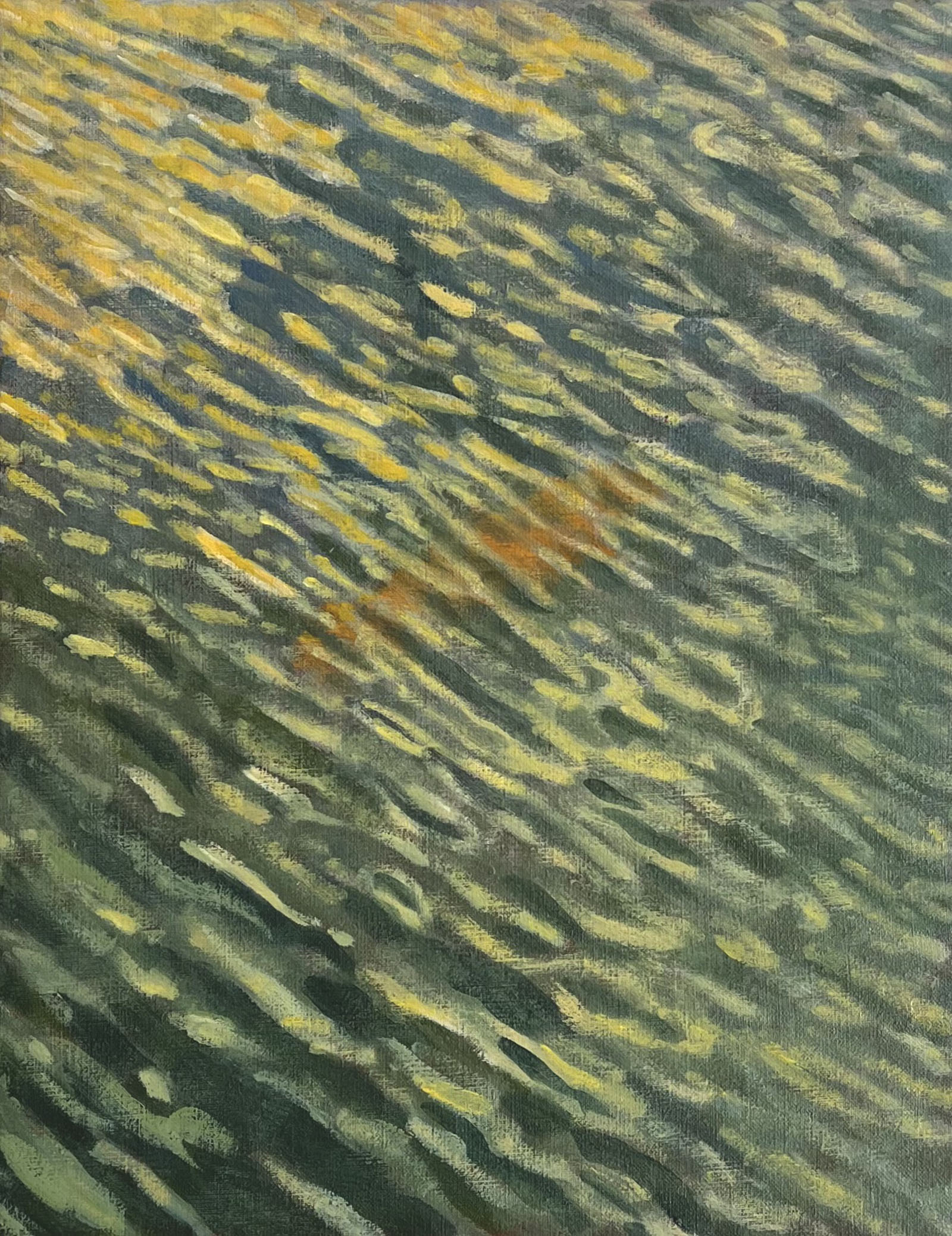 Swimming Lights