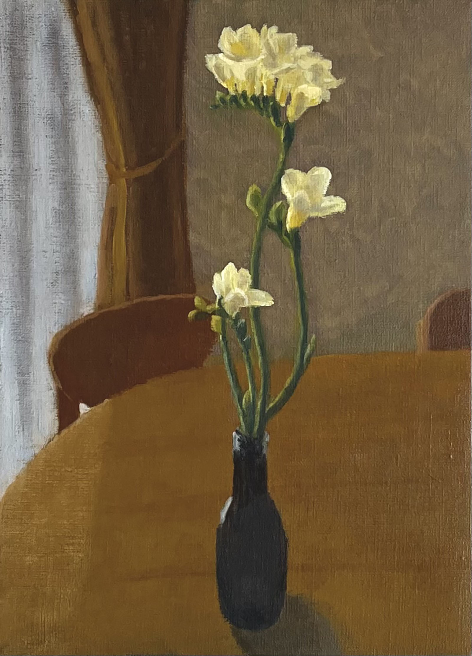 Freesia