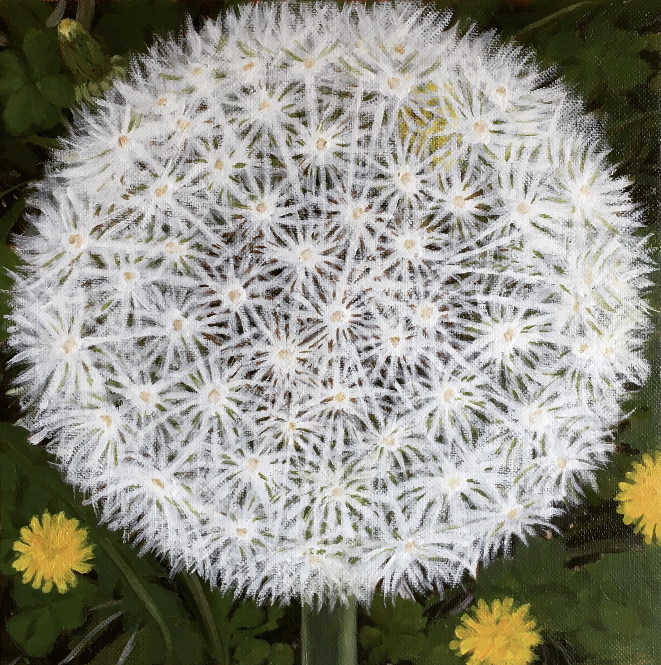 Fluff
