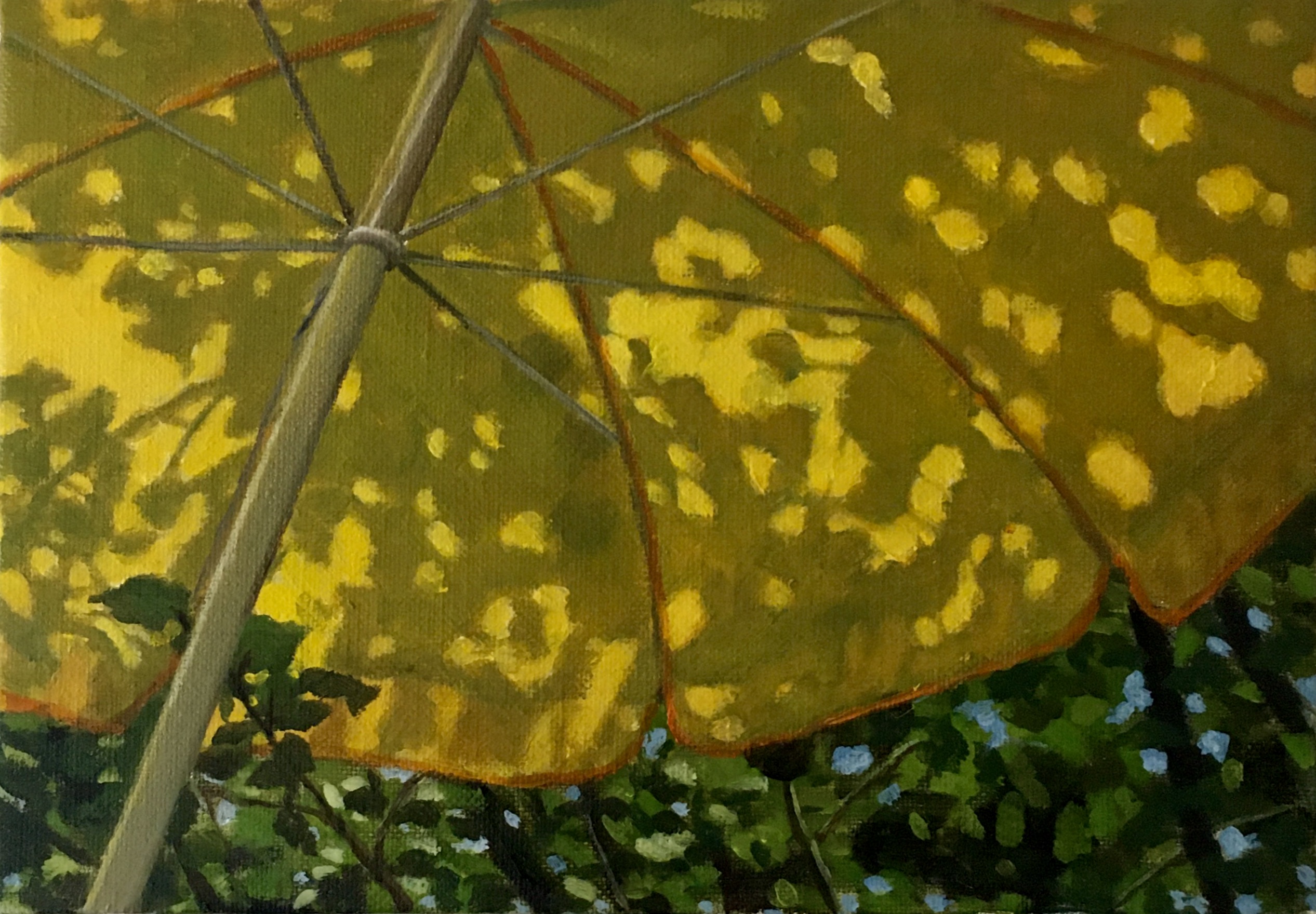Yellow Parasol