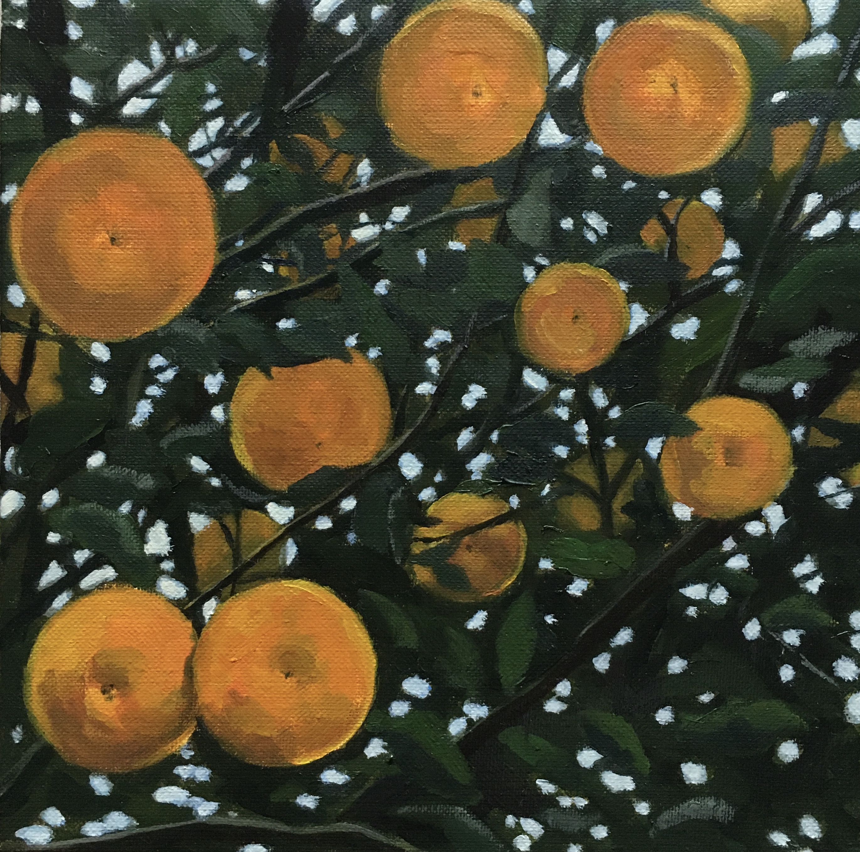 Citrus Fruit
