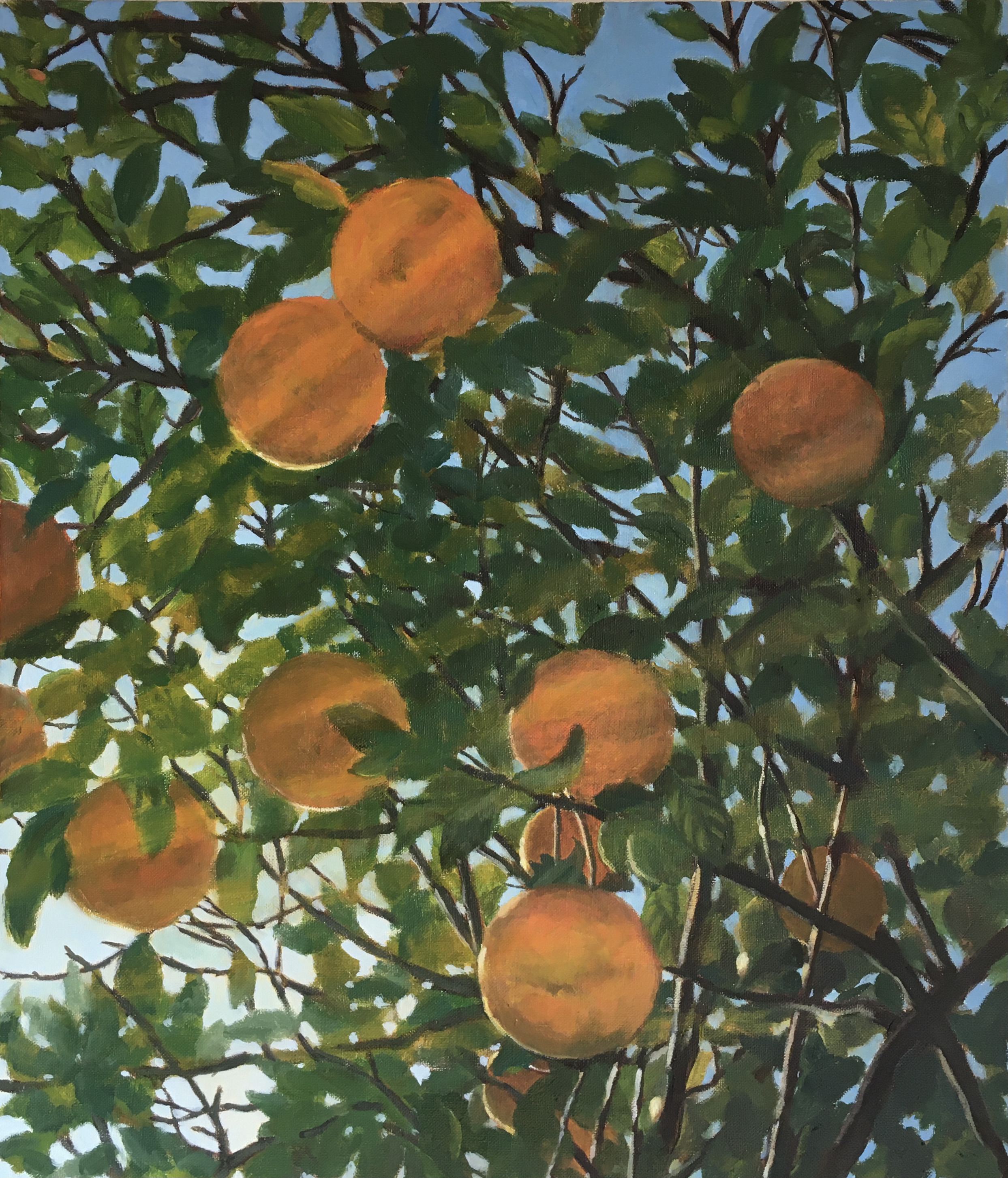 Shining Orange