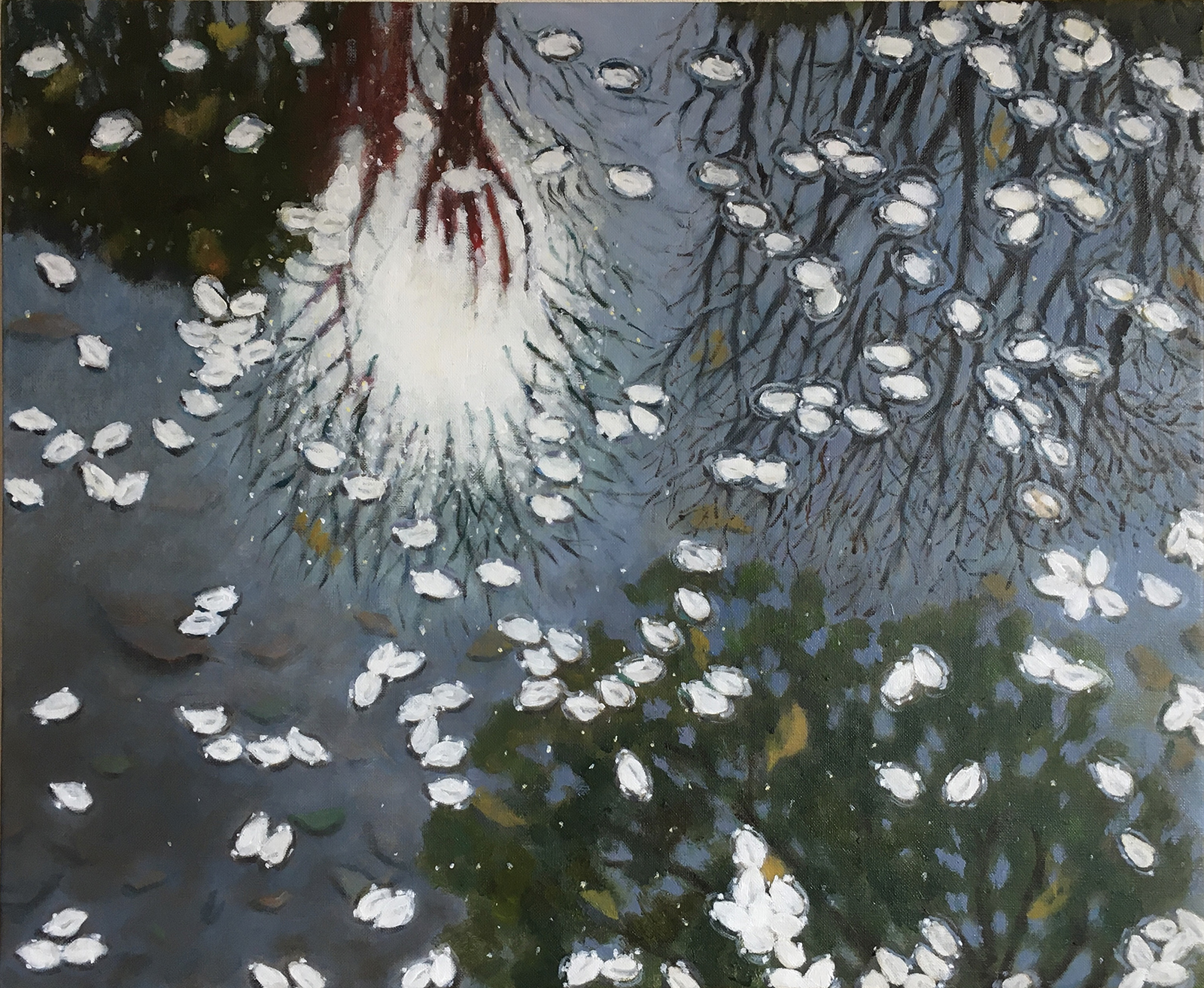 Petals on the Water