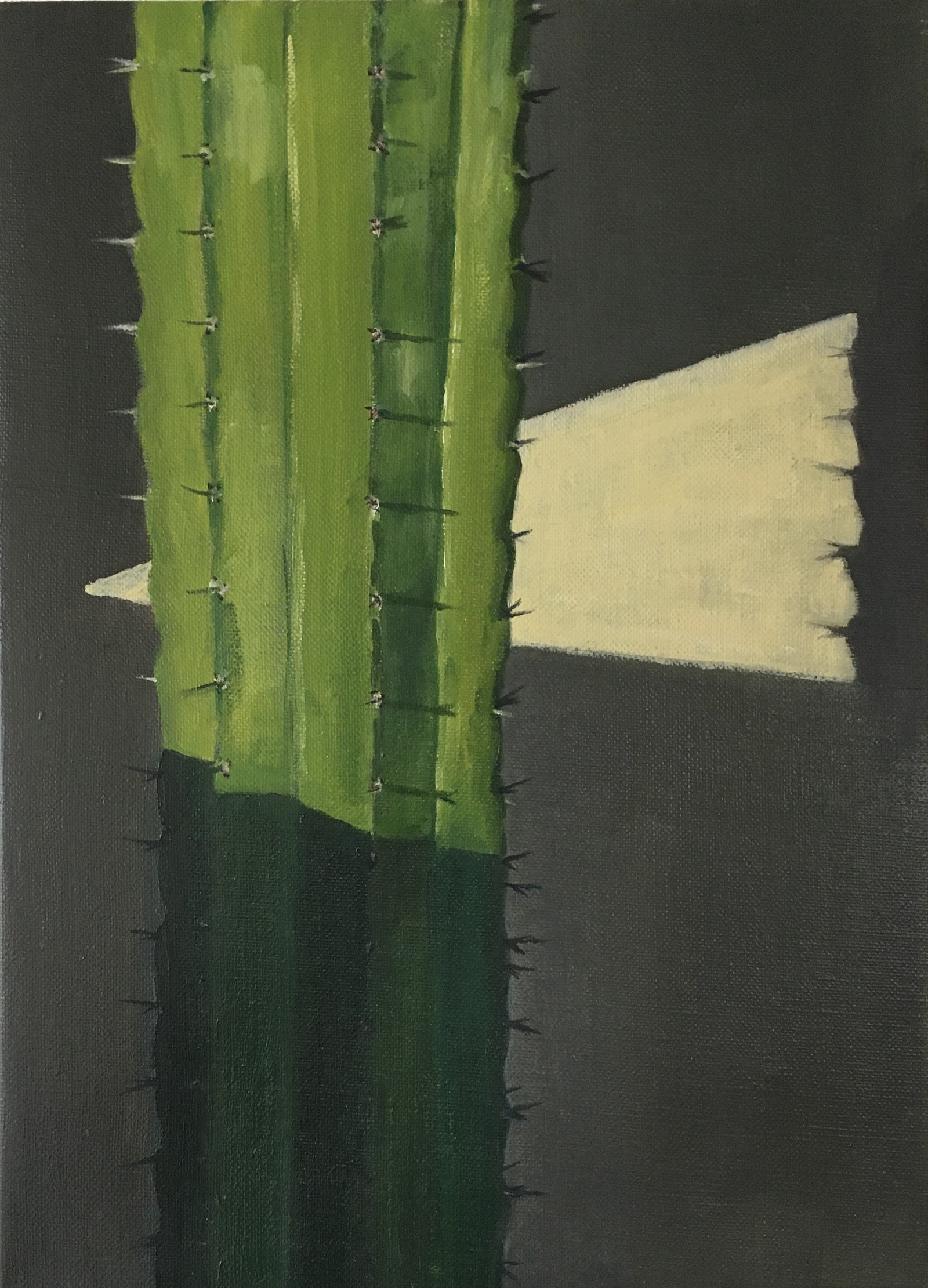 Pillar Cactus