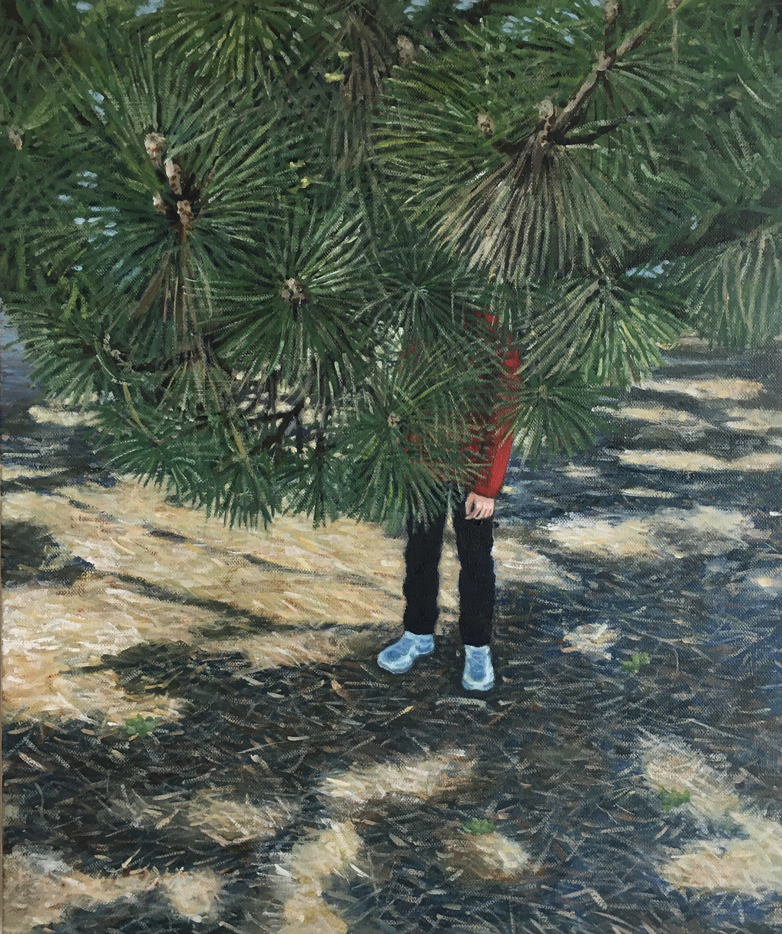 Pine Tree