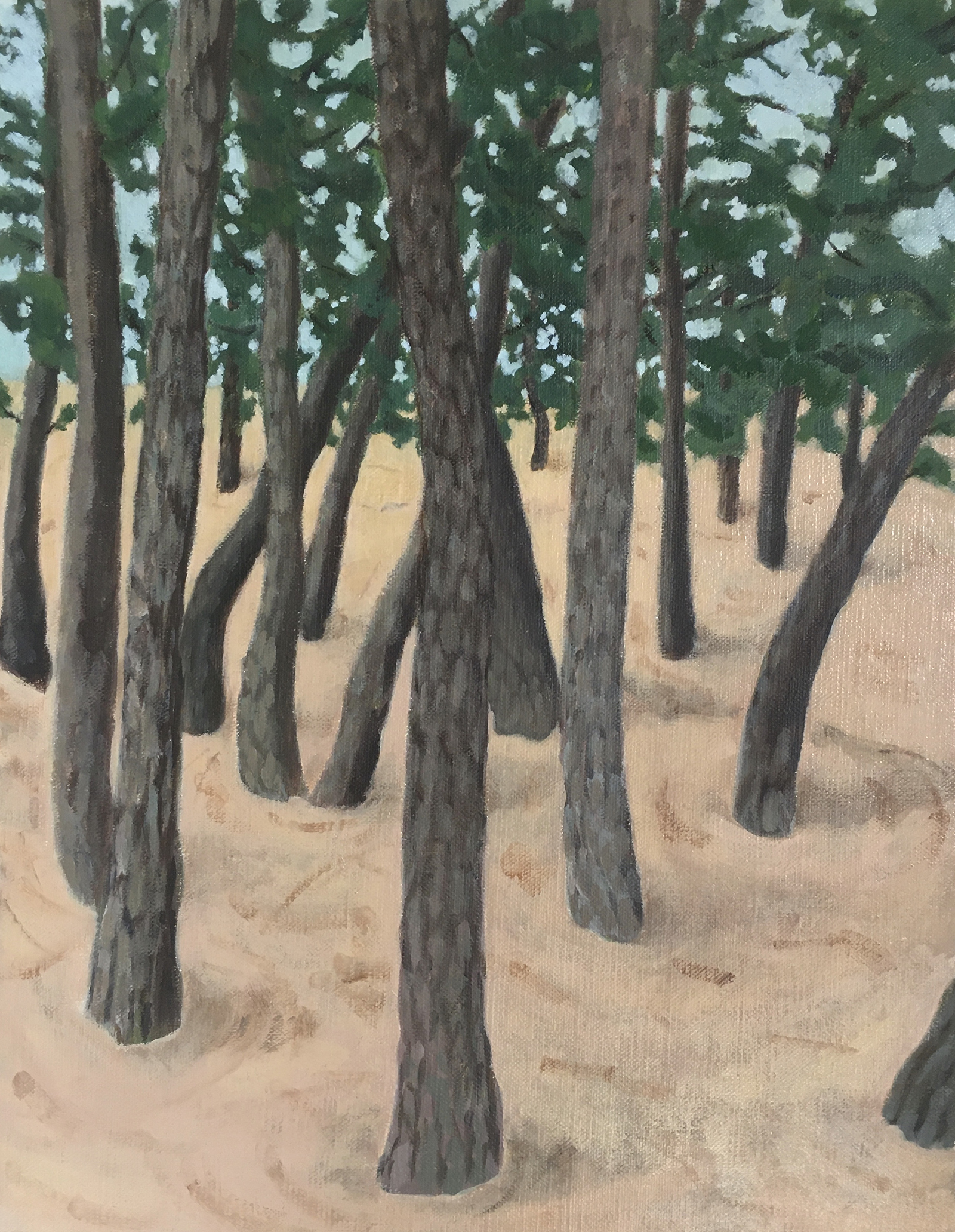 Scent of Pine