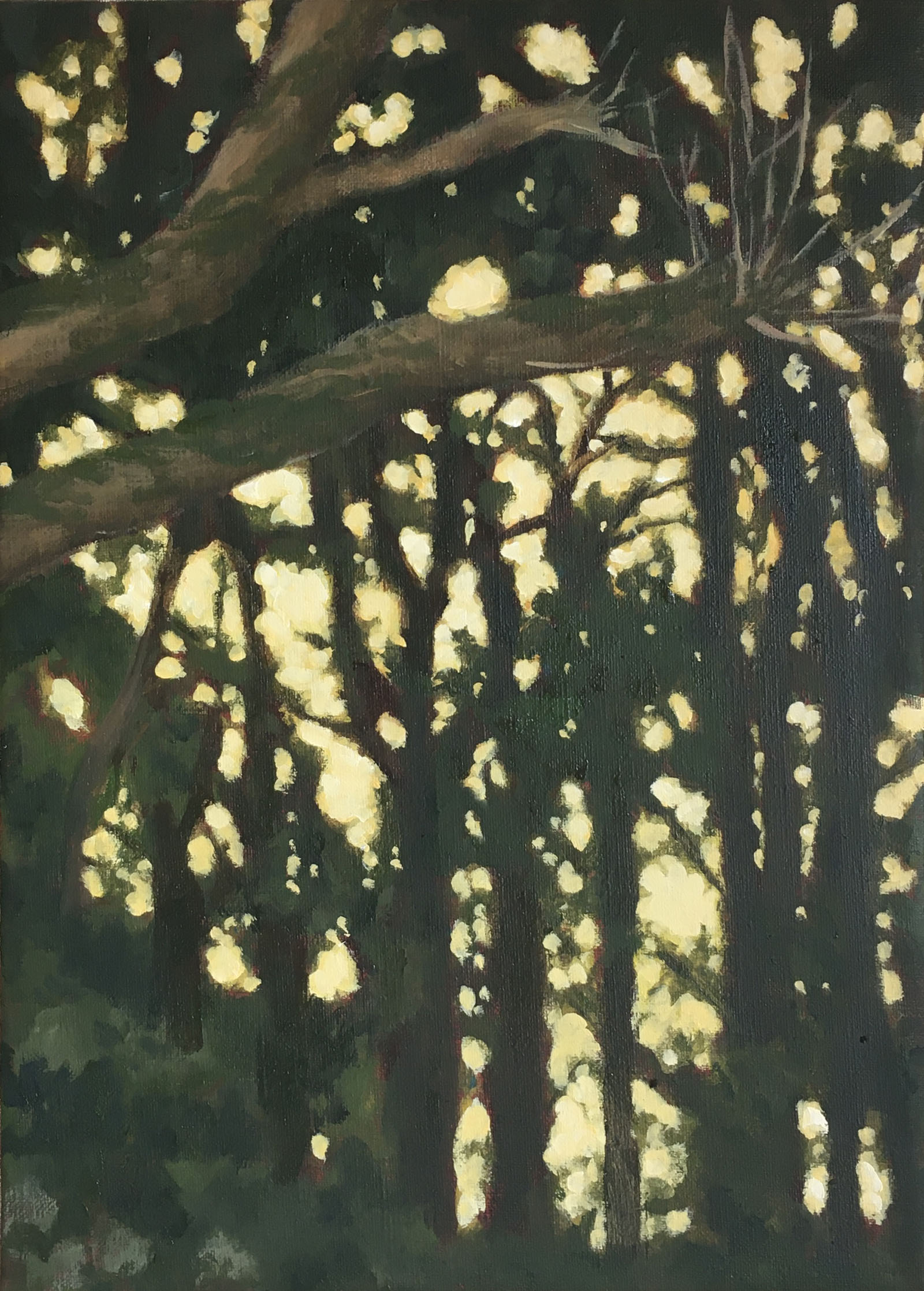 Shining Woods