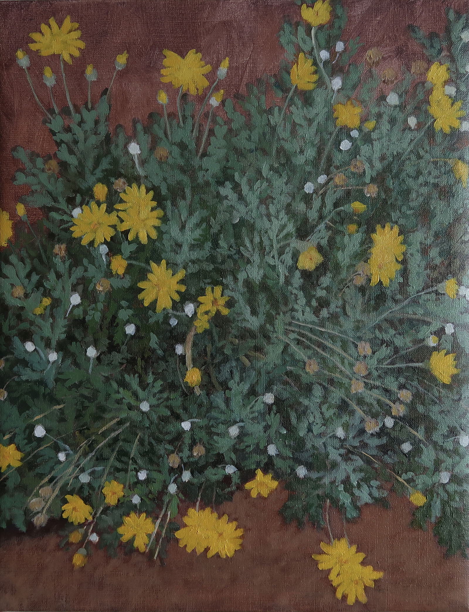 Pathside Flowers