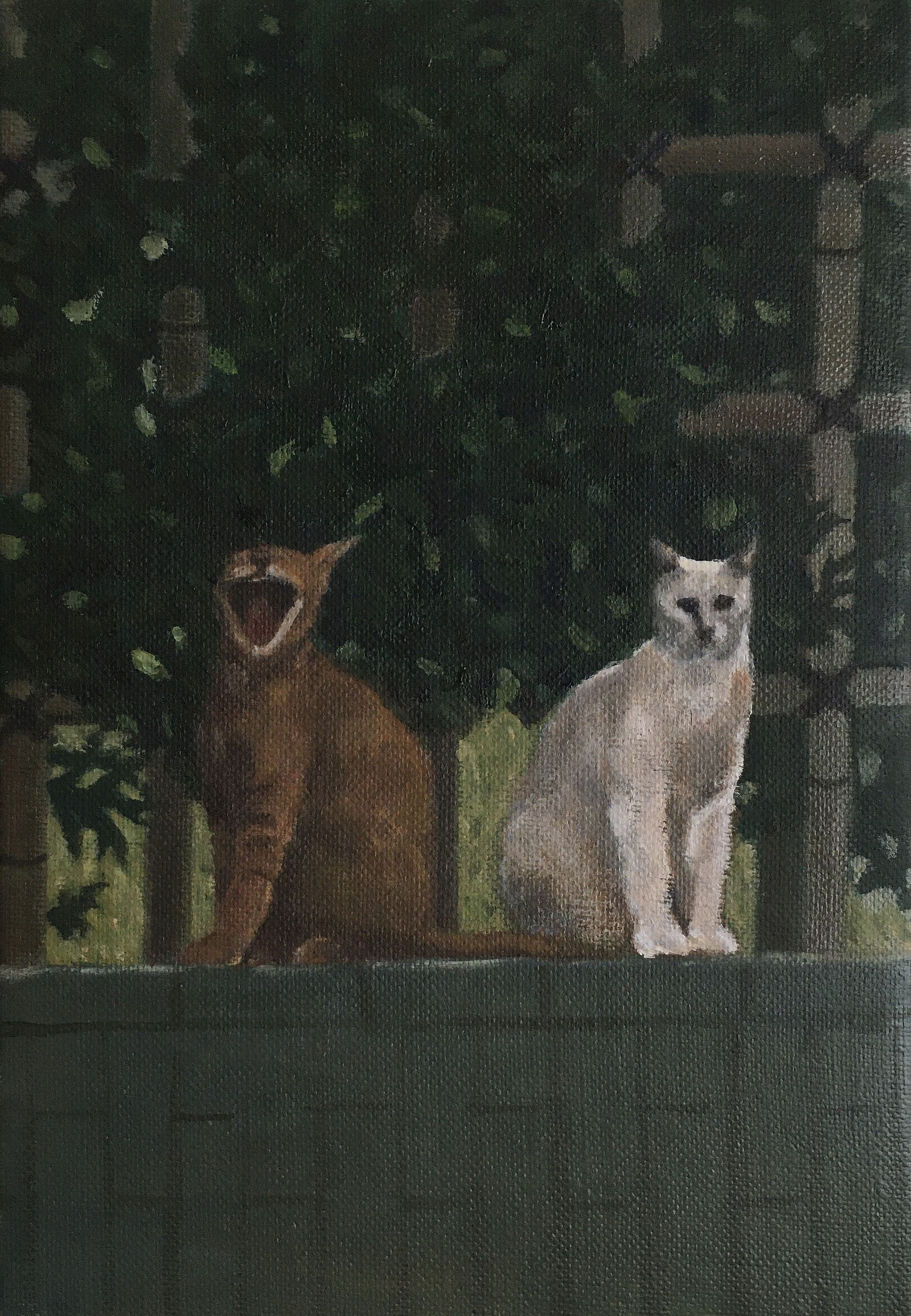 Two Cats