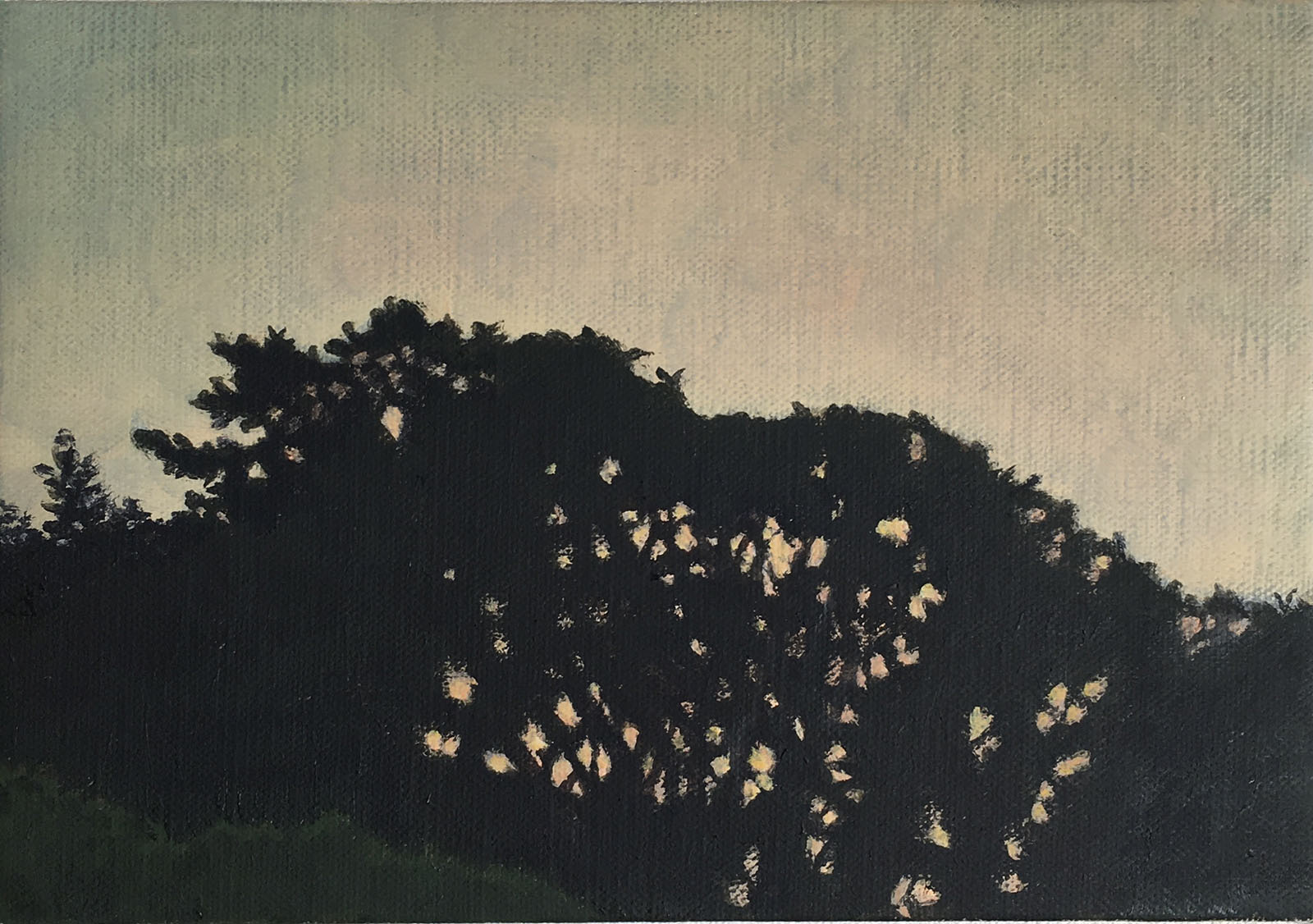 Swaying Branches, Swaying Lights