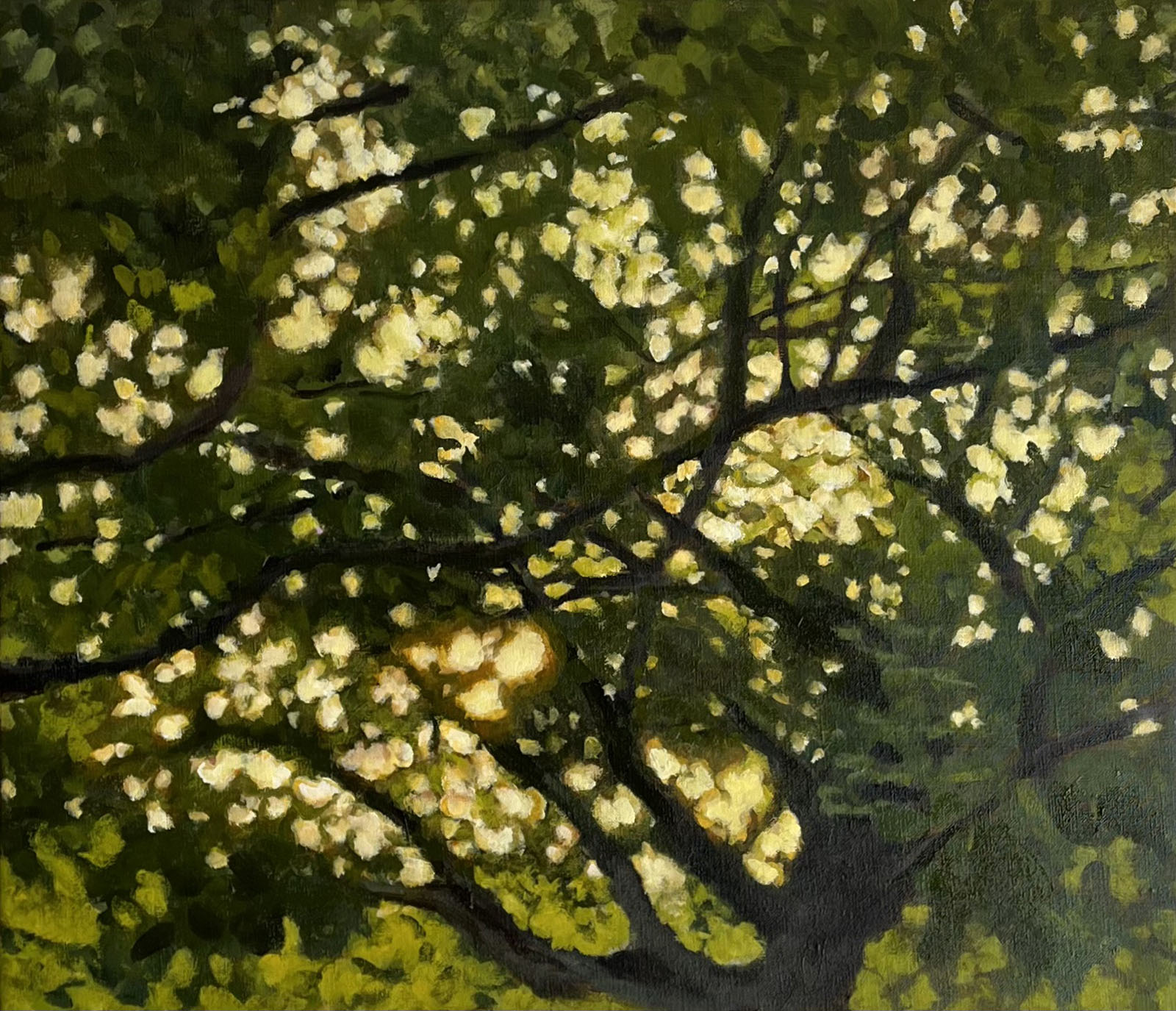Komorebi (Light through the leaves)