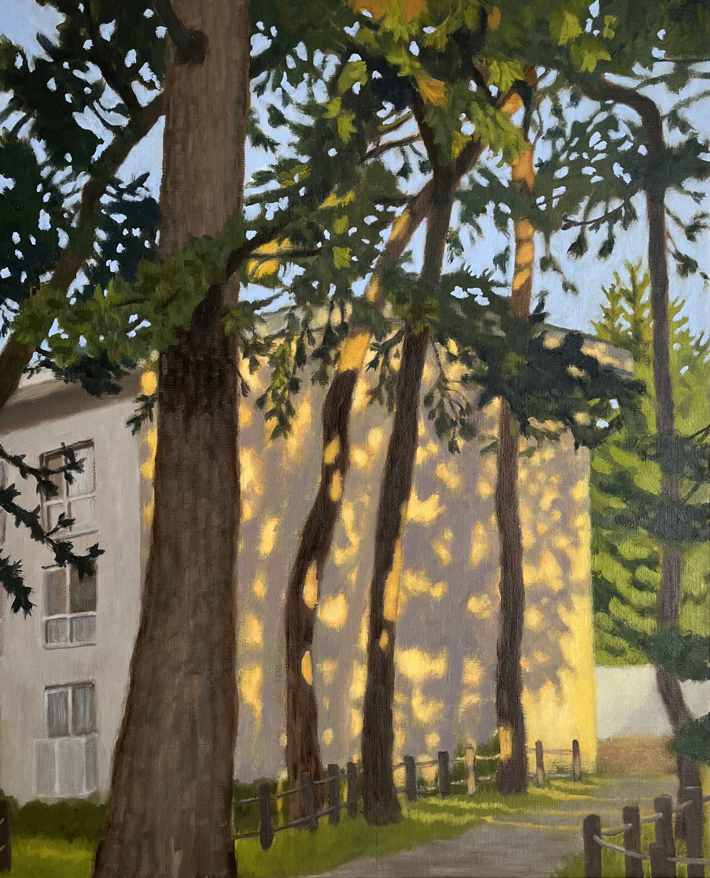 Komorebi House