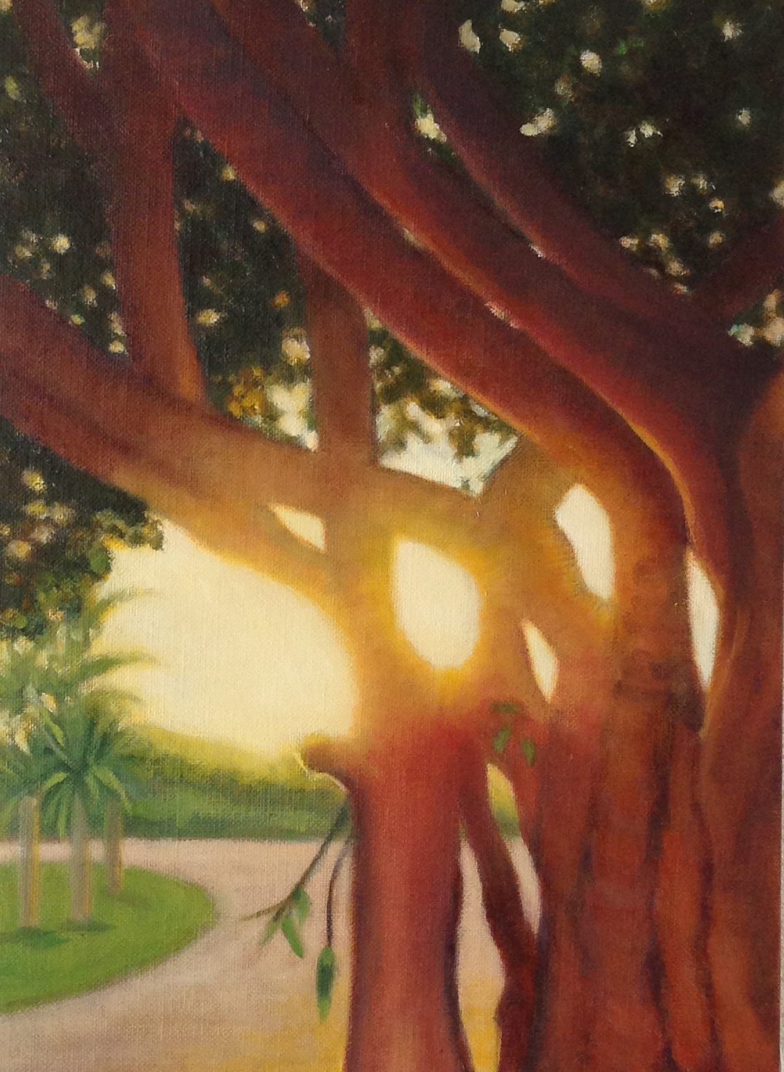 Sun Beam (2015)