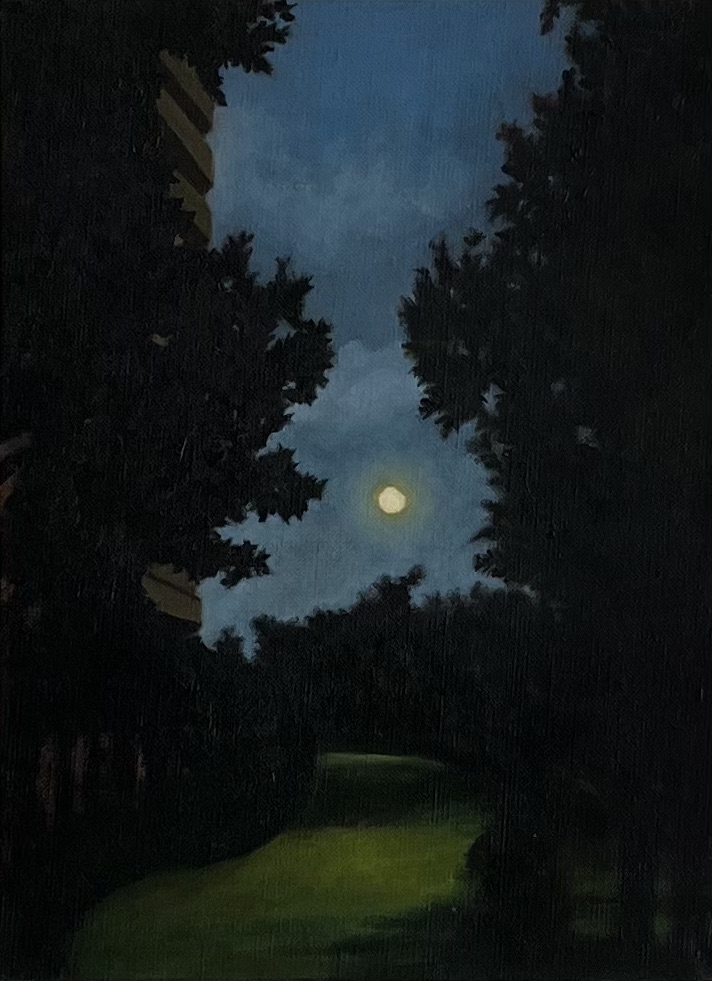 Eclipse of the Moon (2017)