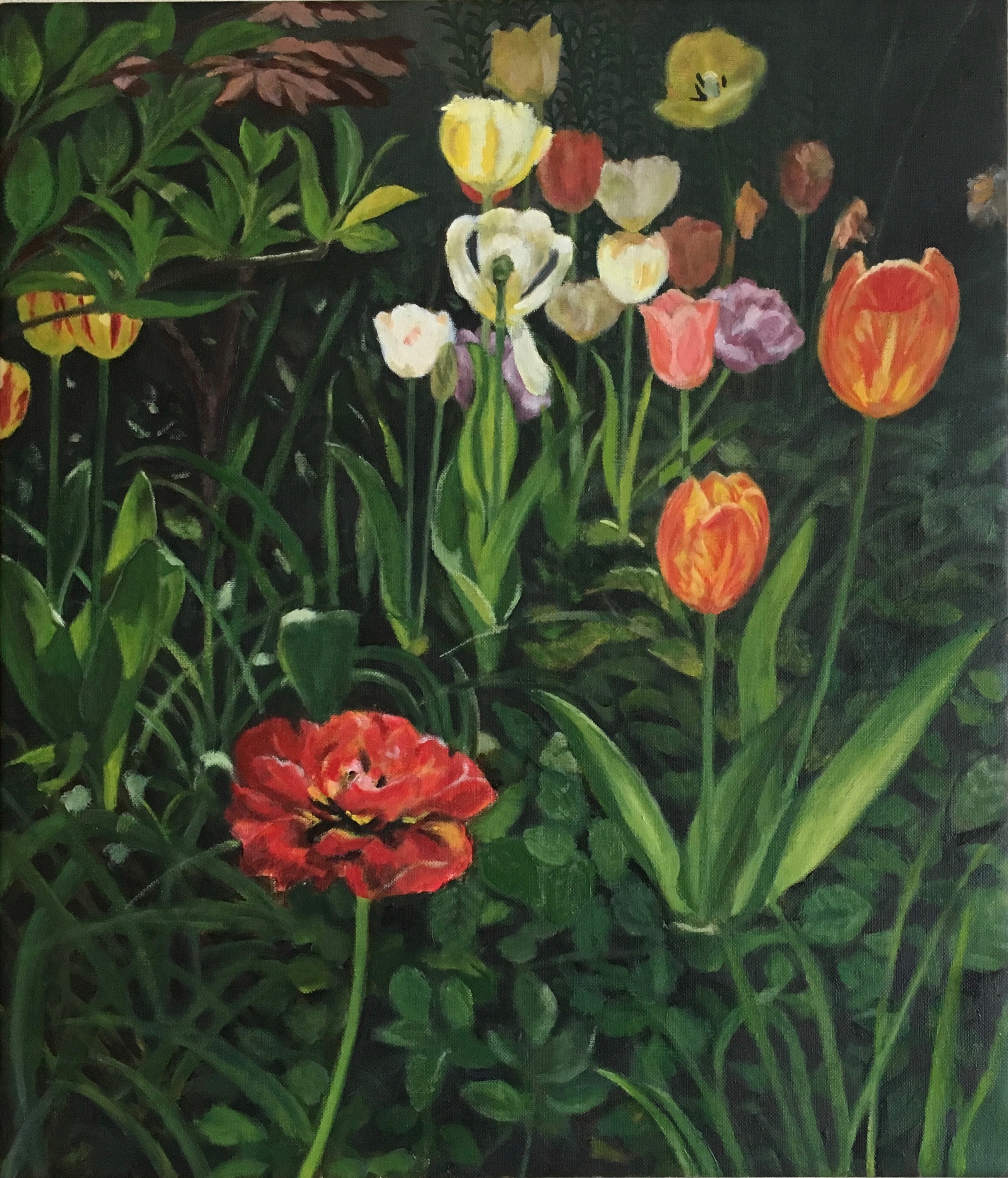 Tulips (2017)