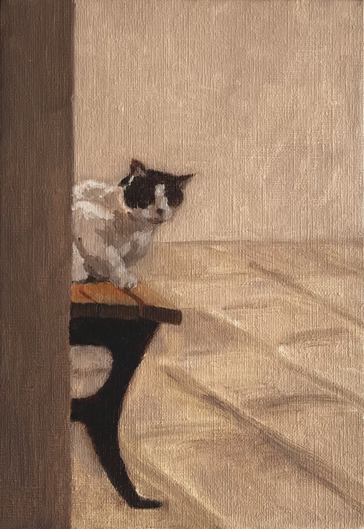Cat in Town