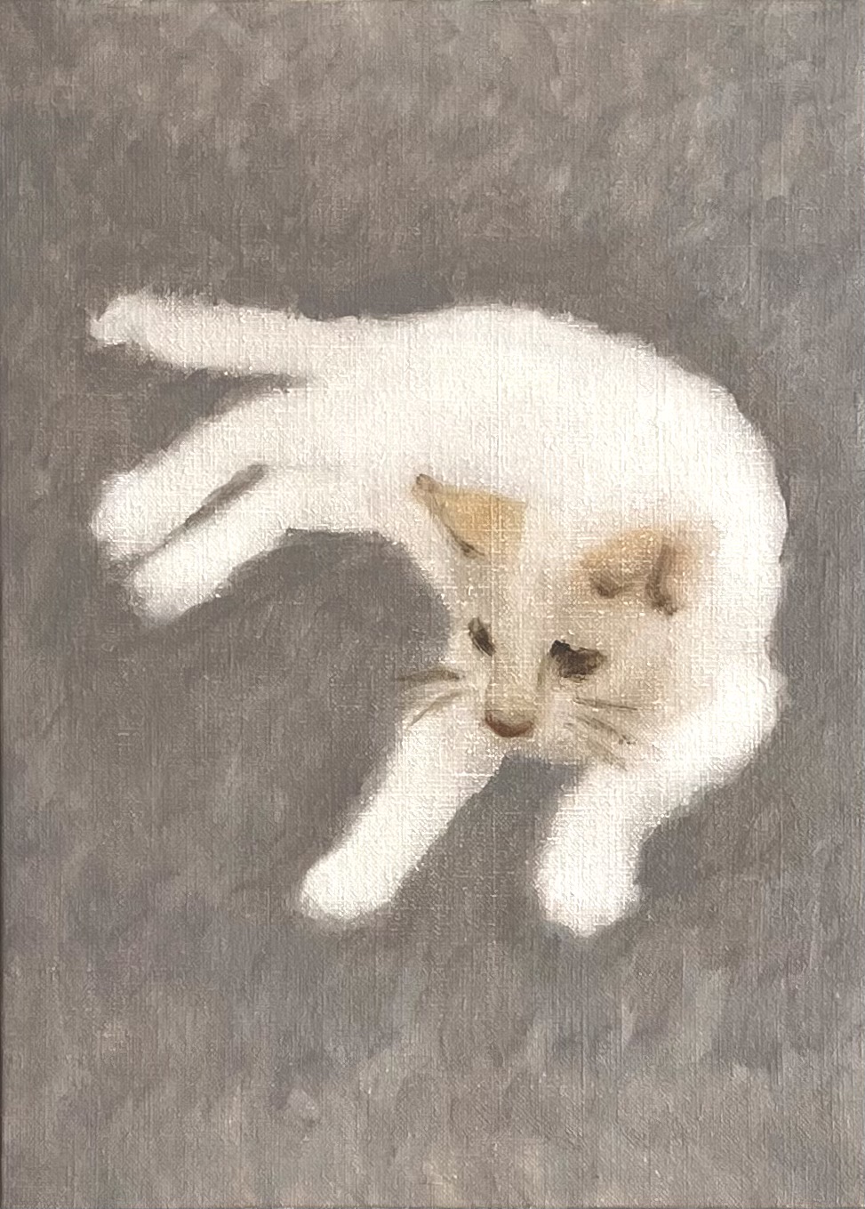 White Cat