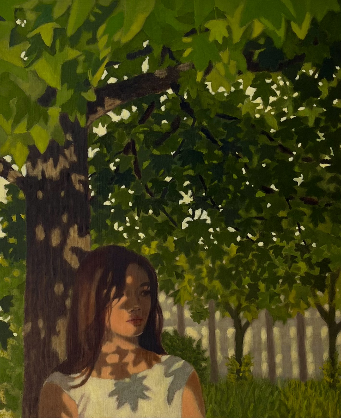 Between Sun and Shade