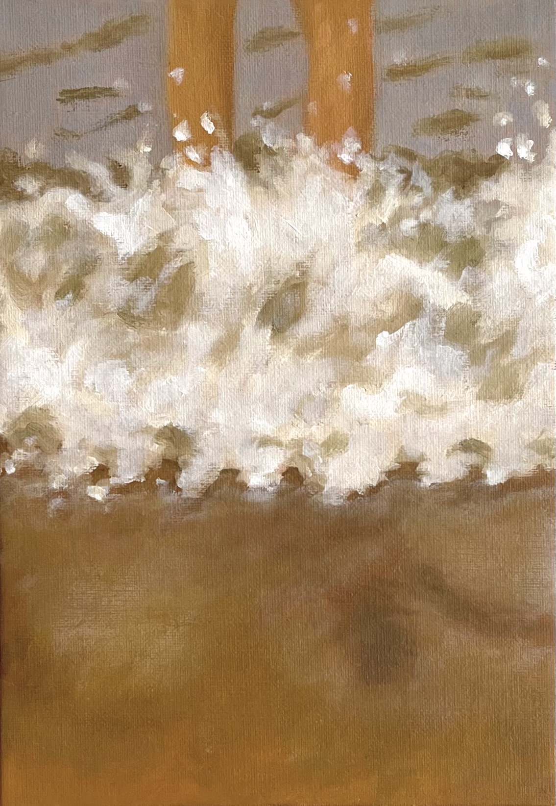 Splash